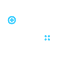 Recombinant Protein