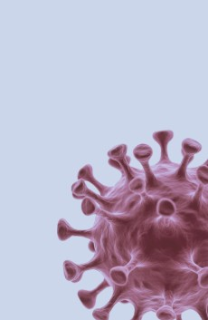 Oncology-Related Vaccines
